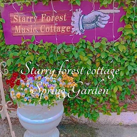 Cats,Piano & Starry Sky Resort Garden -Starry Forest Cottage Okinawa- 온나 외부 사진
