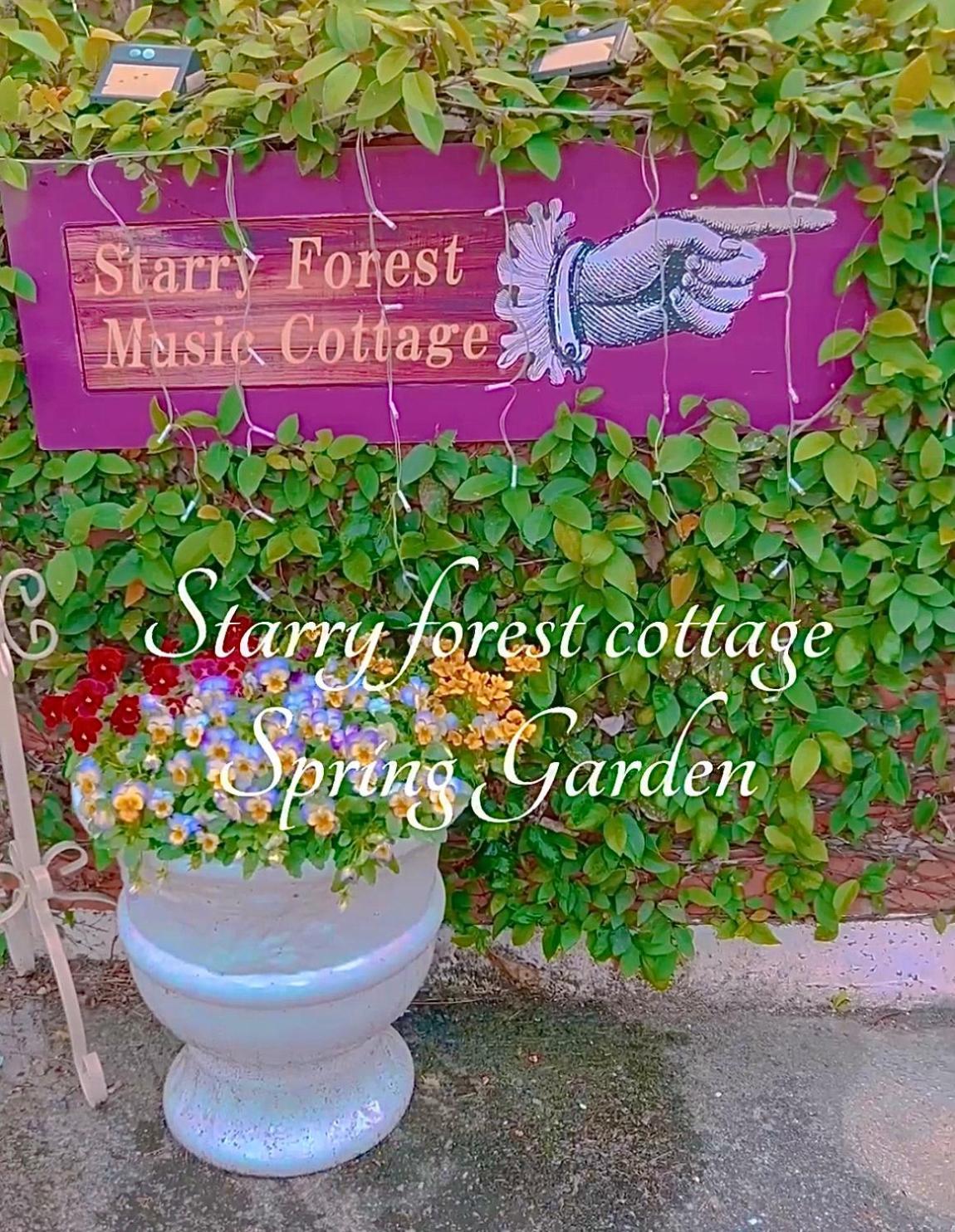 Cats,Piano & Starry Sky Resort Garden -Starry Forest Cottage Okinawa- 온나 외부 사진