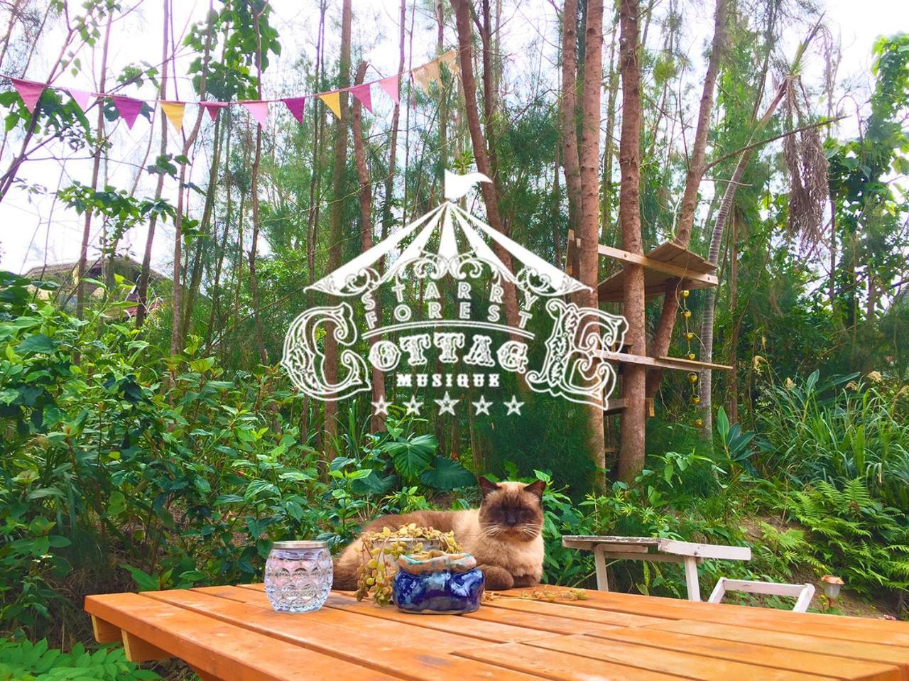Cats,Piano & Starry Sky Resort Garden -Starry Forest Cottage Okinawa- 온나 외부 사진